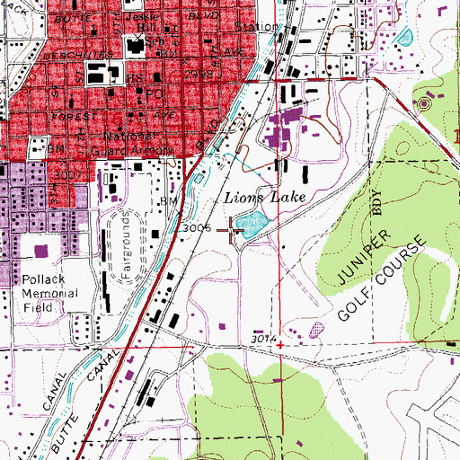 Topographic Map of Lions Lake, OR
