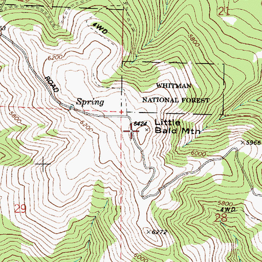 Topographic Map of Little Bald Mountain, OR