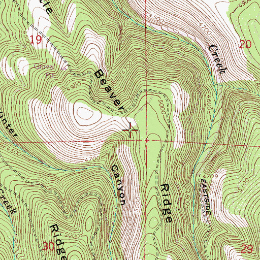 Topographic Map of Little Beaver Ridge, OR