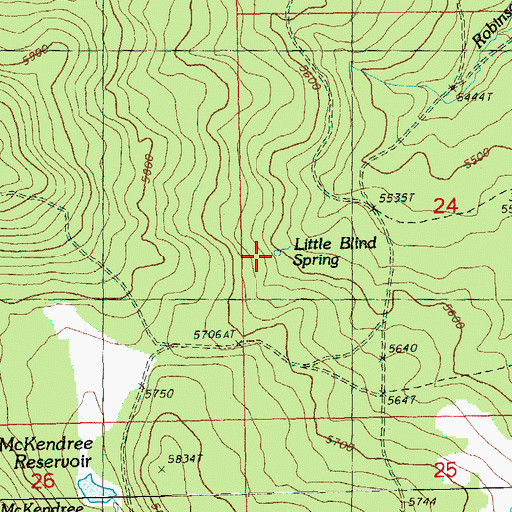 Topographic Map of Little Blind Spring, OR