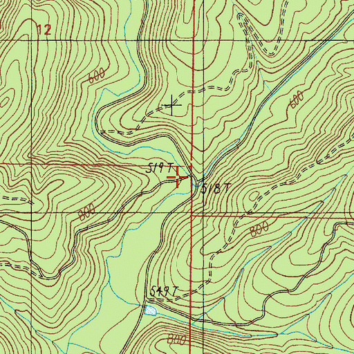 Topographic Map of Little Camp Creek, OR
