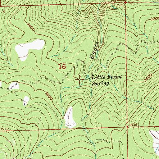 Topographic Map of Little Fawn Spring, OR