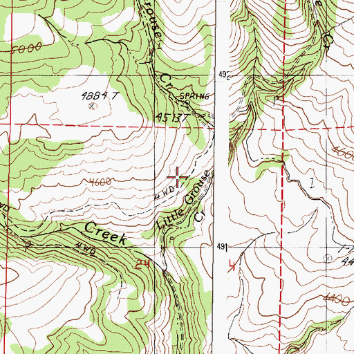 Topographic Map of Little Grouse Creek, OR