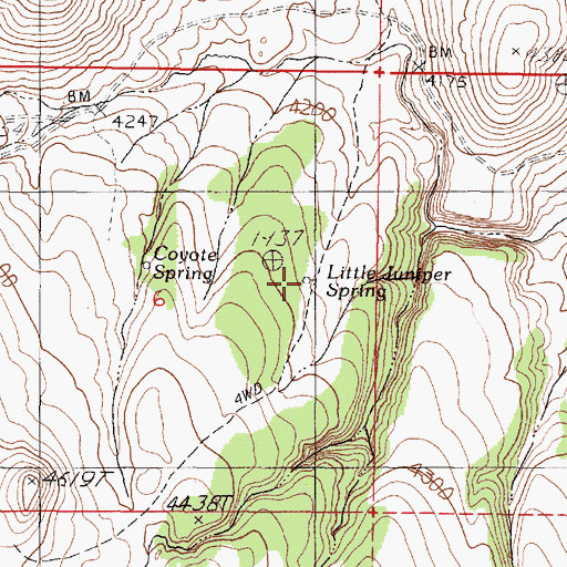 Topographic Map of Little Juniper Spring, OR