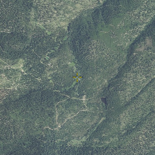 Aerial/Satellite Image of Locken Meadow, OR