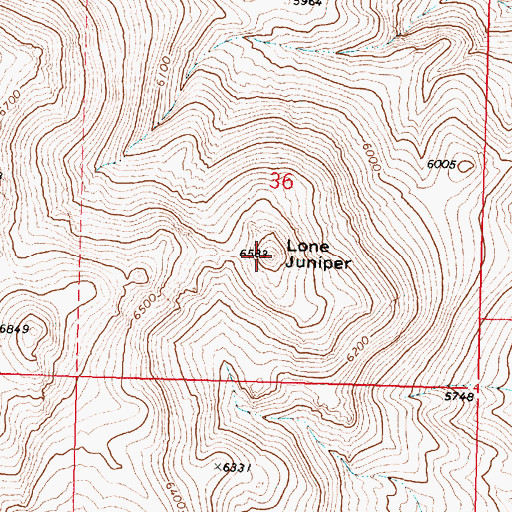 Topographic Map of Lone Juniper, OR