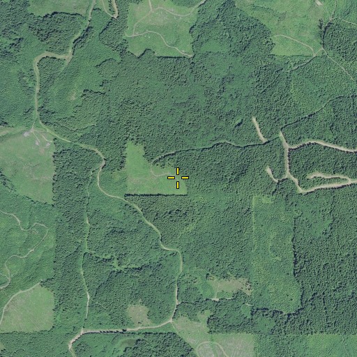 Aerial/Satellite Image of Long Mountain, OR