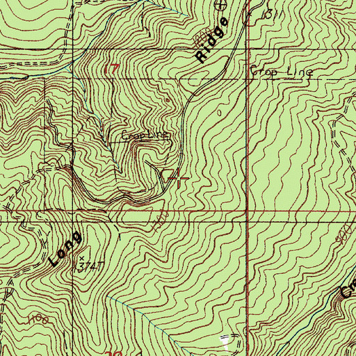 Topographic Map of Long Ridge, OR