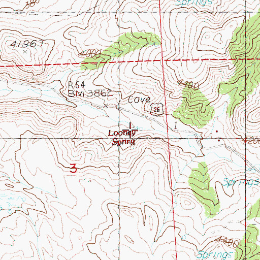 Topographic Map of Looney Spring, OR