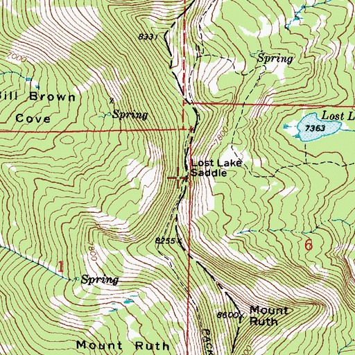 Topographic Map of Lost Lake Saddle, OR