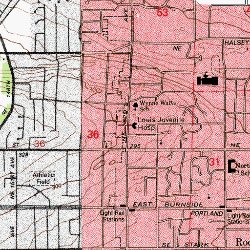 Topographic Map of Louis Juvenile Hospital, OR