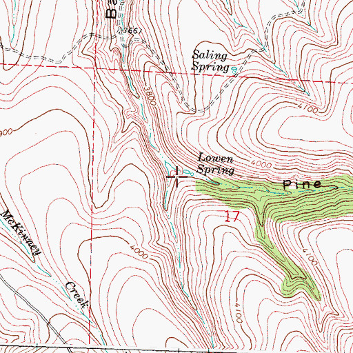 Topographic Map of Lowen Spring, OR