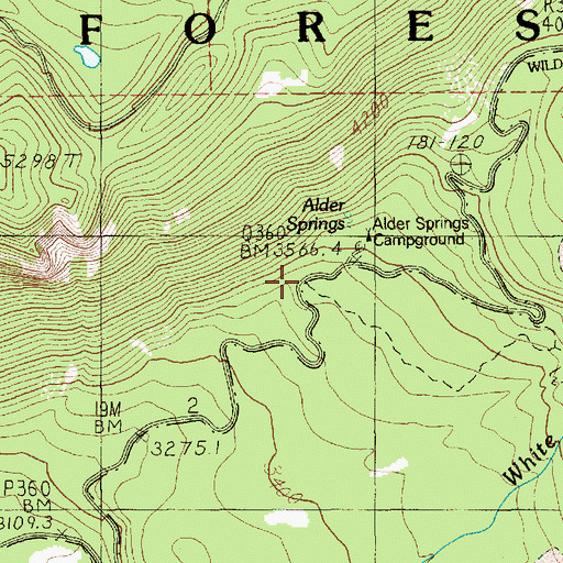 Topographic Map of Lower Alder Springs Forest Camp (historical), OR