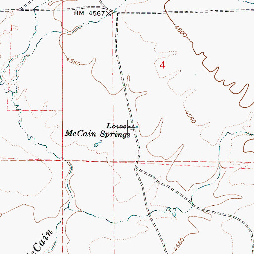 Topographic Map of Lower McCain Springs, OR