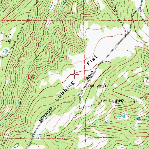 Topographic Map of Lubbing Flat, OR