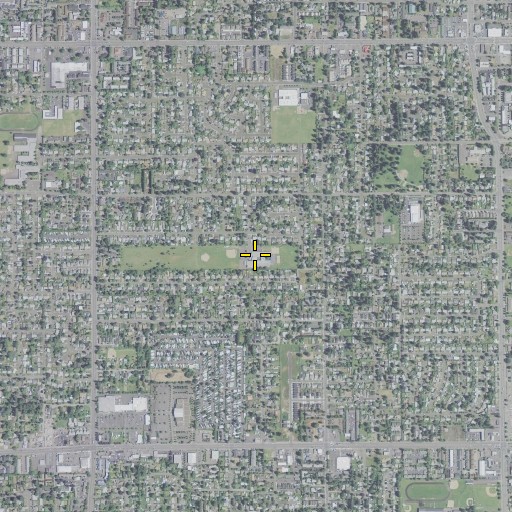 Aerial/Satellite Image of Lynch View Elementary School, OR