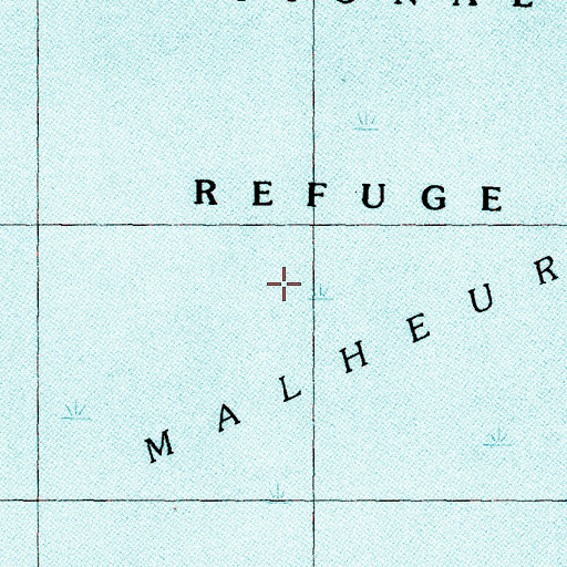 Topographic Map of Malheur Lake, OR