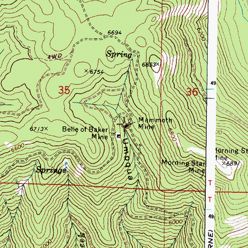 Topographic Map of Mammoth Mine, OR