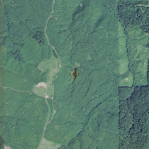 Aerial/Satellite Image of Mansfield Pond, OR