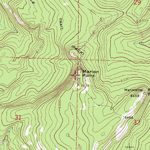 Topographic Map of Marion Point, OR
