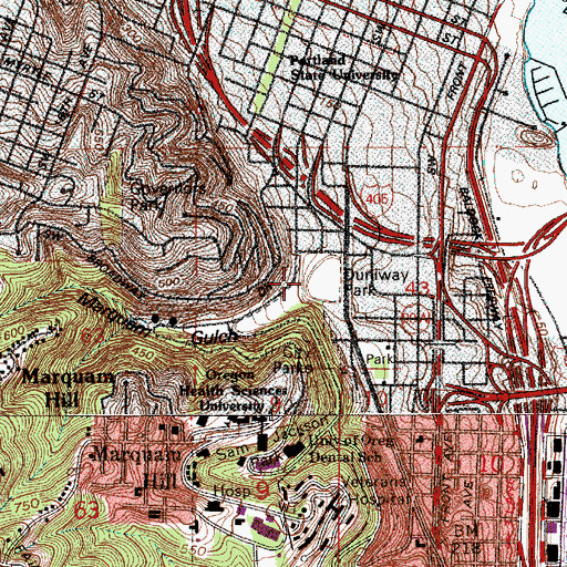 Topographic Map of Marquam Gulch, OR