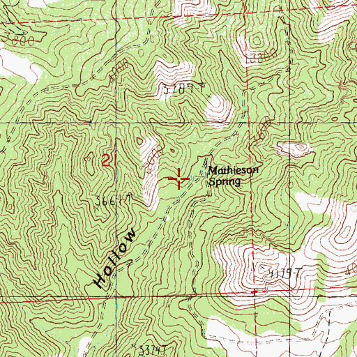Topographic Map of Mathieson Spring, OR
