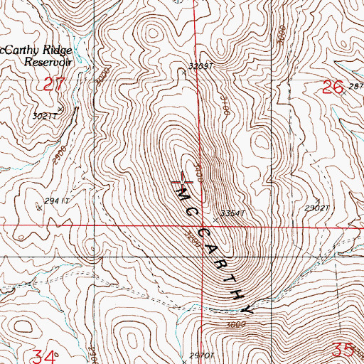 Topographic Map of McCarthy Ridge, OR
