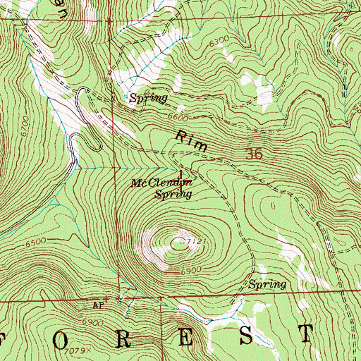 Topographic Map of McClendon Spring, OR