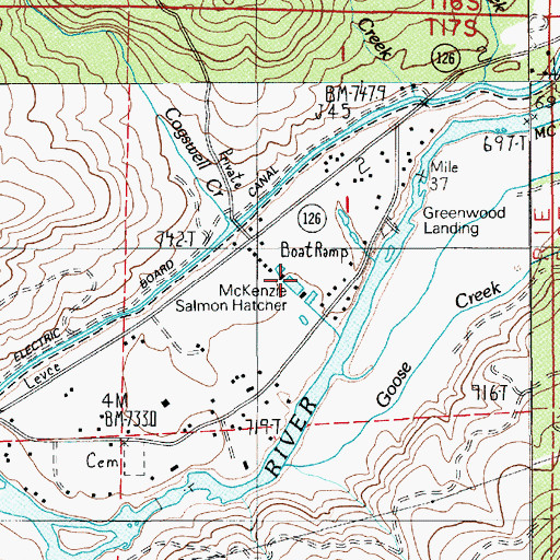 Topographic Map of McKenzie Salmon Hatchery, OR