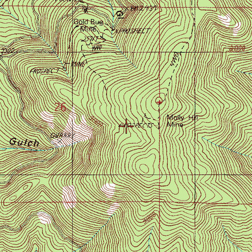 Topographic Map of Molly Hill Mine, OR