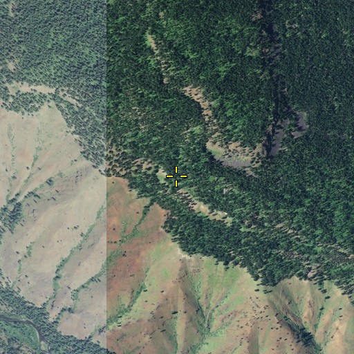 Aerial/Satellite Image of Moore Spring, OR