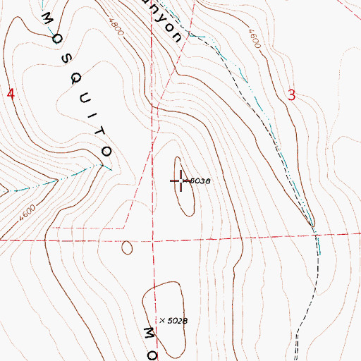 Topographic Map of Mosquito Mountain, OR