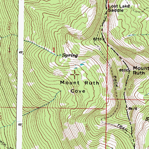 Topographic Map of Mount Ruth Cove, OR