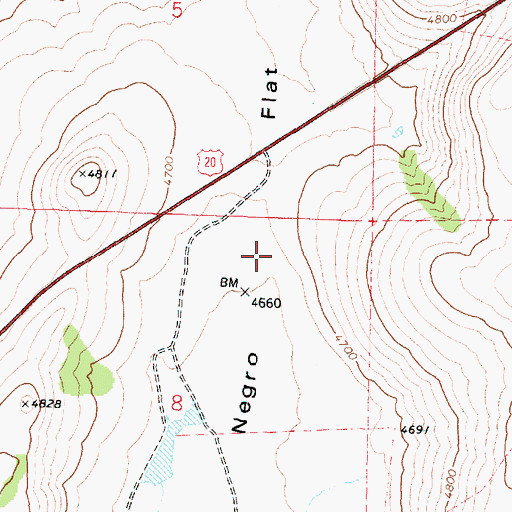Topographic Map of Negro Flat, OR