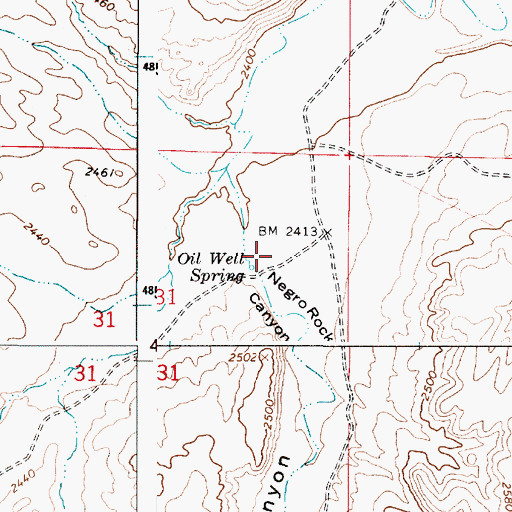 Topographic Map of Negro Rock Canyon, OR