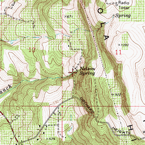 Topographic Map of Nelson Spring, OR