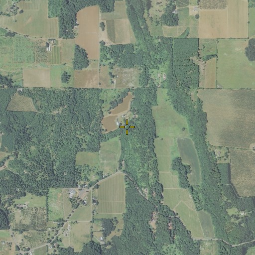Aerial/Satellite Image of Nelson Spring, OR