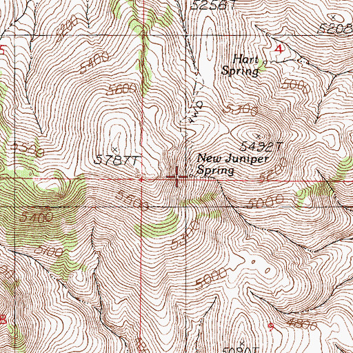 Topographic Map of New Juniper Spring, OR