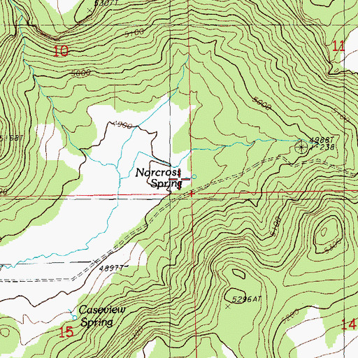 Topographic Map of Norcross Spring, OR
