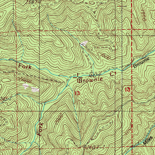 Topographic Map of North Fork Brownie Creek, OR