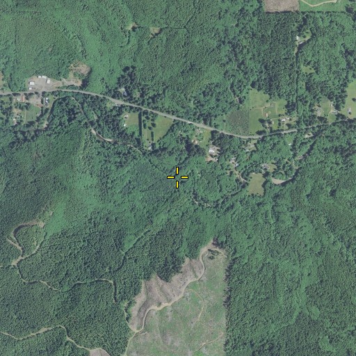 Aerial/Satellite Image of North Fork Necanicum River, OR