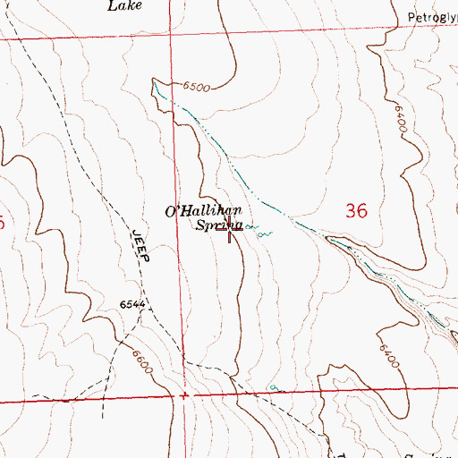 Topographic Map of O'Hallihan Spring, OR