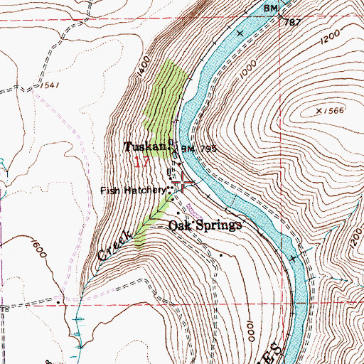 Topographic Map of Oak Springs Creek, OR