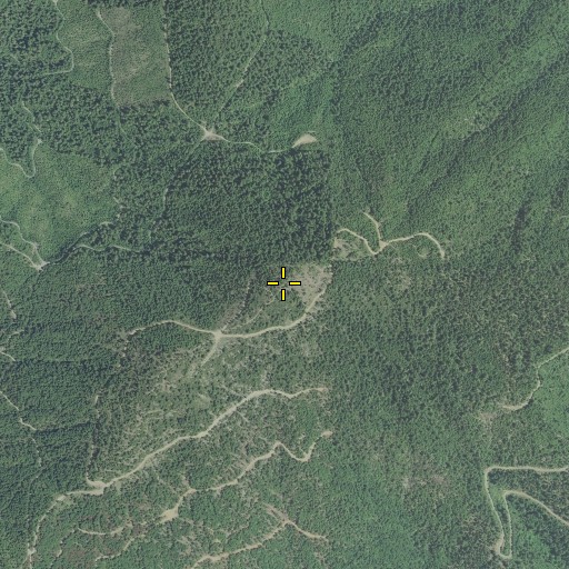 Aerial/Satellite Image of Old Baldy, OR