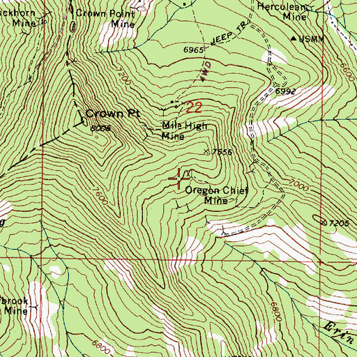 Topographic Map of Oregon Chief Mine, OR