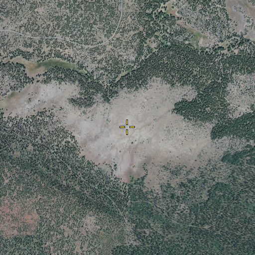 Aerial/Satellite Image of Otto Boye Flat, OR