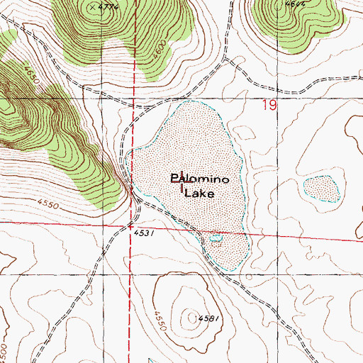 Topographic Map of Palomino Lake, OR