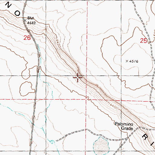 Topographic Map of Palomino Rim, OR