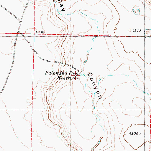 Topographic Map of Palomino Rim Reservoir, OR