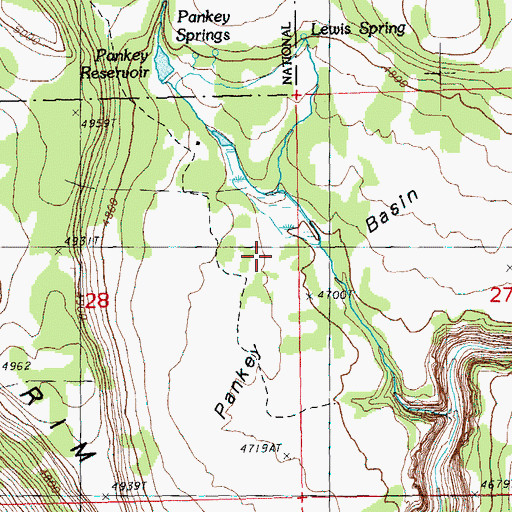 Topographic Map of Pankey Basin, OR